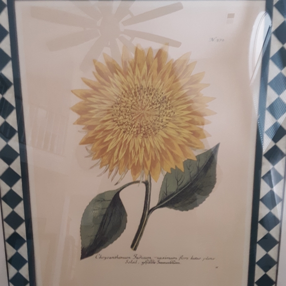 Wood matted art prints 2 rustic wall art. Green painted wood frames. - Picture 2 of 5